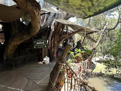 Trout Tree - Fischrestaurant