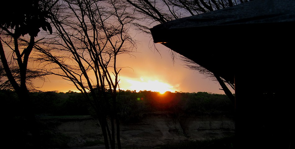 Aruba Mara Camp, Bush tent - Talek, Masai Mara Reservat
