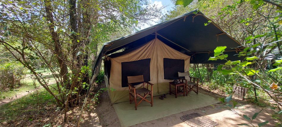 Aurba Mara Safari Camp - Talek, Masai Mara