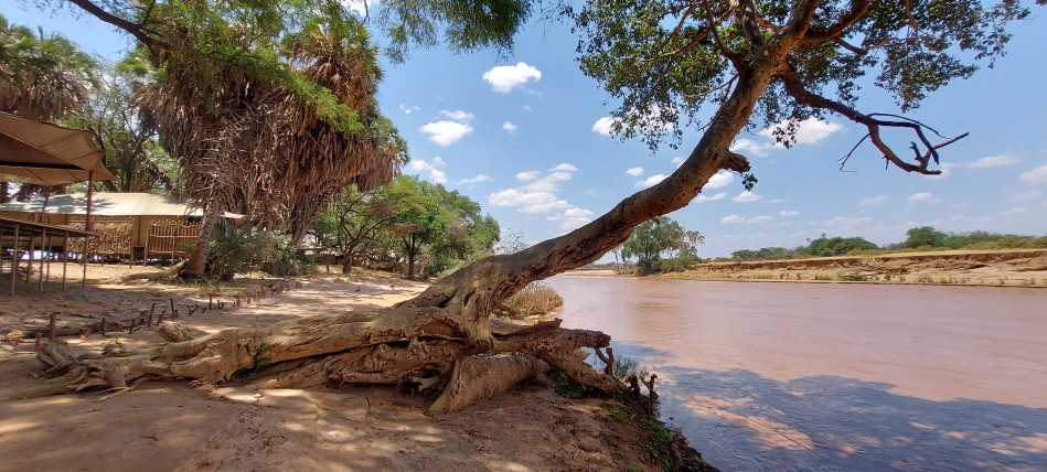 Soroi Larsens Camp -Samburu Reservat