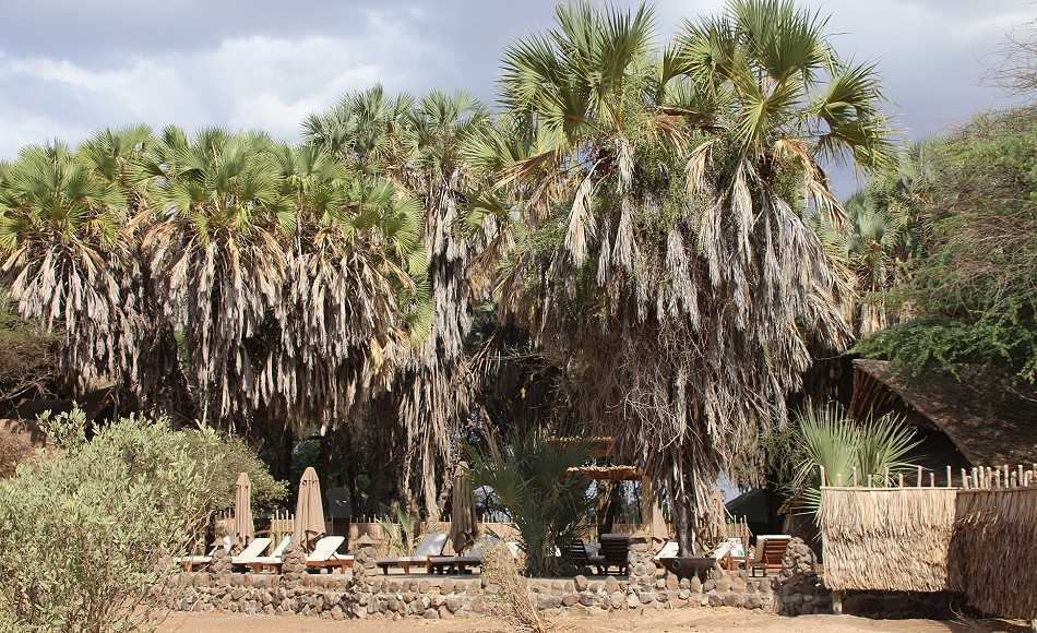 Soroi Larsens Camp -Samburu Reservat