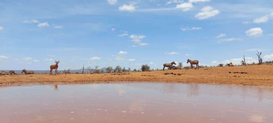 Soroi Lions Bluff Foto Hide - Lumo Conservancy