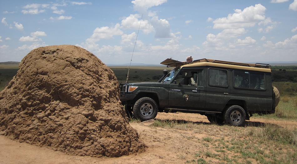 Termitenhügel in der Masai Mara