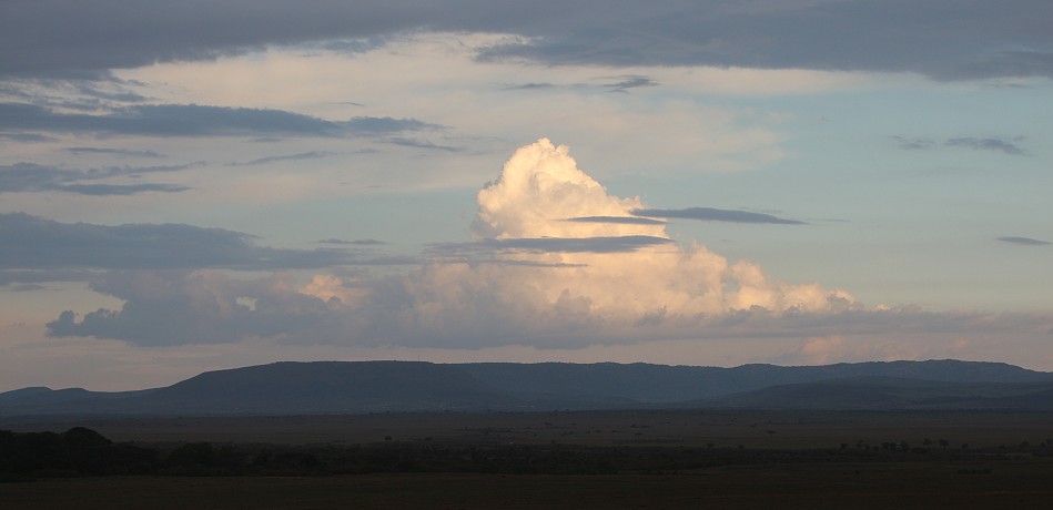Abenddämmerung in der Masai Mara