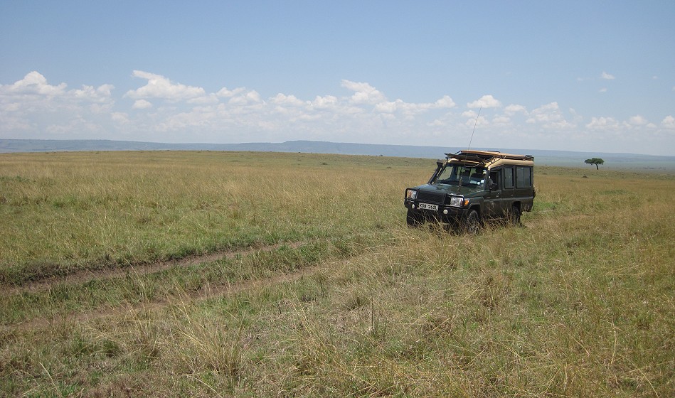 Jörg und Petra Reinecke auf Pirschfahrt in der Masai Mara