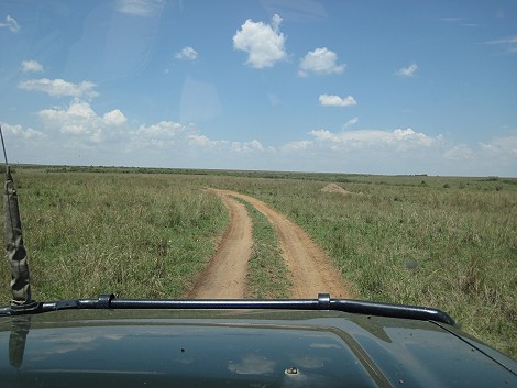 auf Pirschfahrt in der Masai Mara