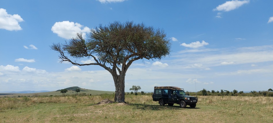 Auf Safari in der Masai Mara