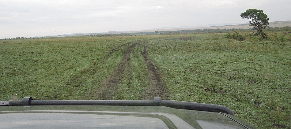 matschige Masai Mara