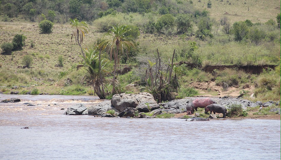 am Mara Fluss