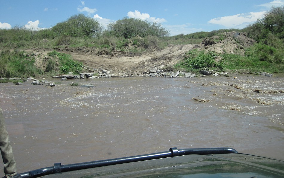 Rekero Crossing, Masai Mara