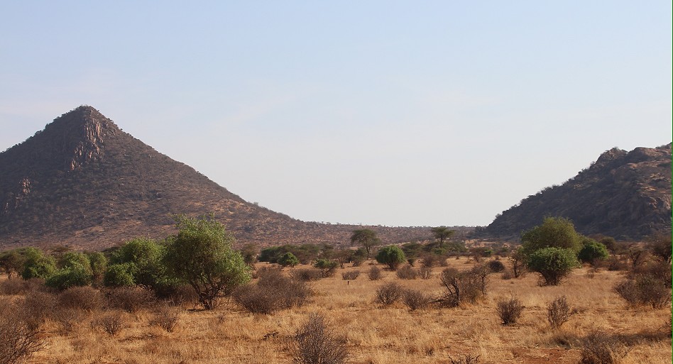 Samburu