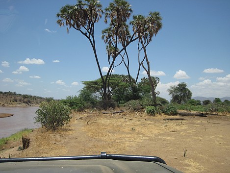 auf Safari im Samburu