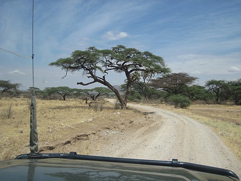 Unterwegs im Buffalo Springs Reservat