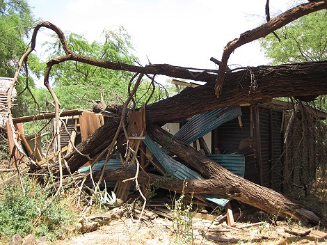 Samburu Game Lodge - Samburu Reservat(am 13.09.23)