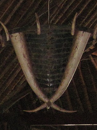 Samburu Game Lodge - Samburu Reservat(am 13.09.23)