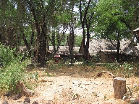 Alte Samburu Game Lodge