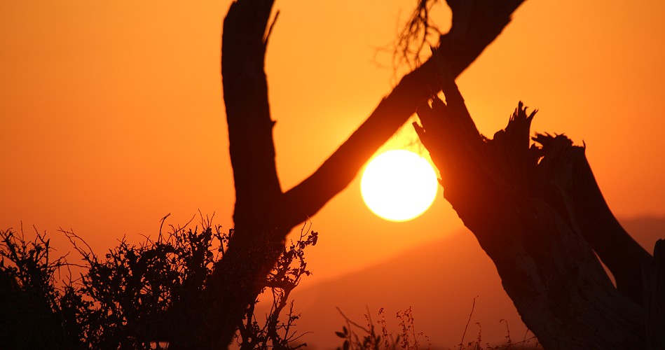 Sonnenuntergang im Samburu