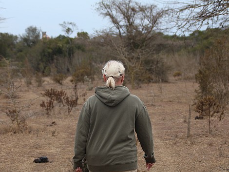 Sandai Farm - zwischen Mount Kenya und Aberdares, Mwega