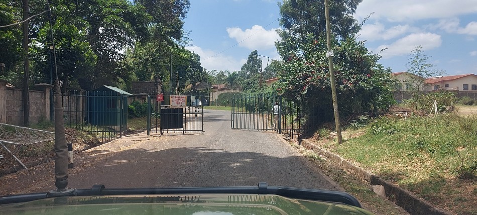 Lavington, Loiyangalani Drive