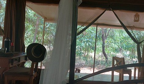 Ikweta Safari Camp