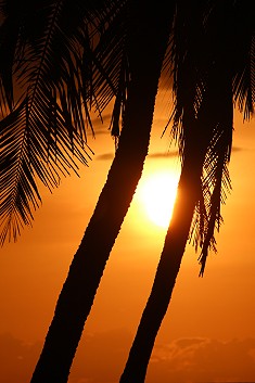 bei Freunden am Jumba Mtwapa Beach