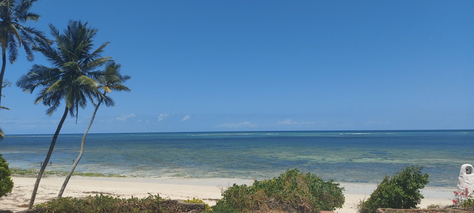 bei Freunden am Jumba Mtwapa Beach