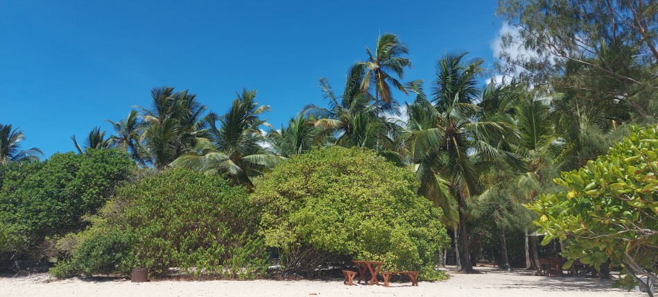 Kuruvitu Beach - Vipingo Beach Club - North Coast