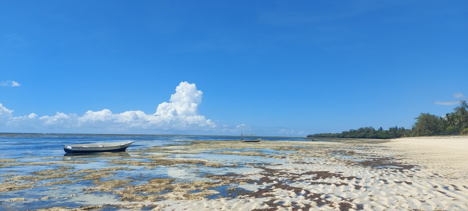 Kuruvitu Beach - Vipingo Beach Club - North Coast