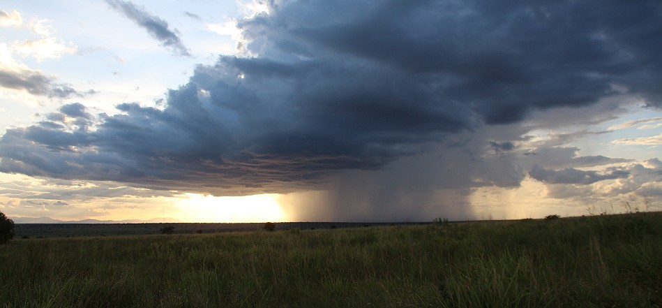 immer wieder Regen im Lumo Conservancy