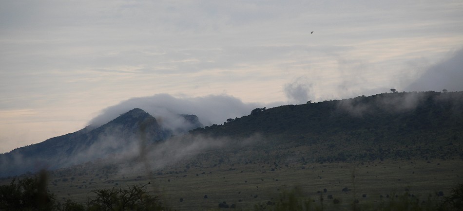 Nebel im Lumo Reservat