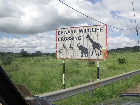 Taita Hills Reservat