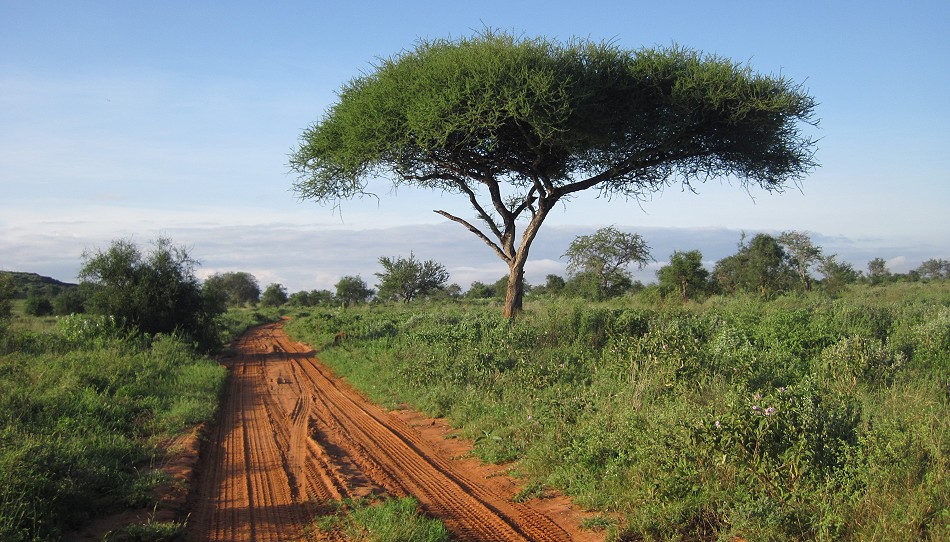 Lumo Conservancy