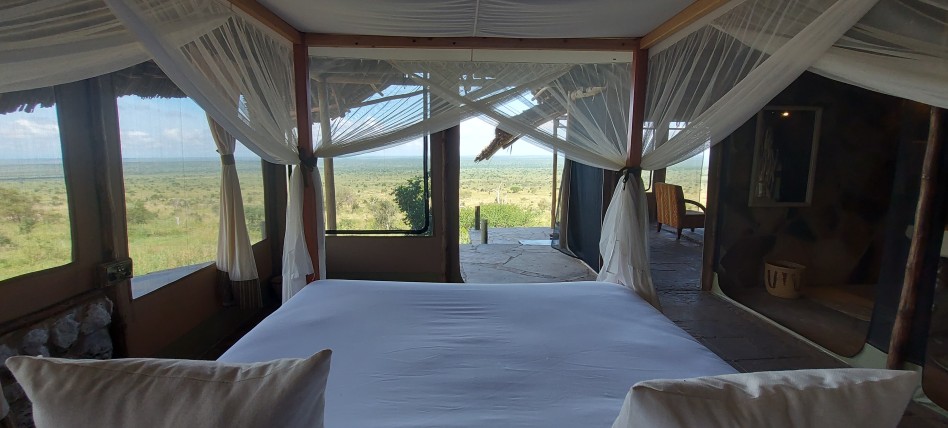 Soroi Cheetah Camp - Lumo Conservancy
