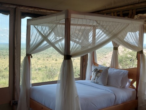Soroi Cheetah Camp - Lumo Conservancy