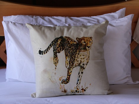 Soroi Cheetah Camp - Lumo Conservancy