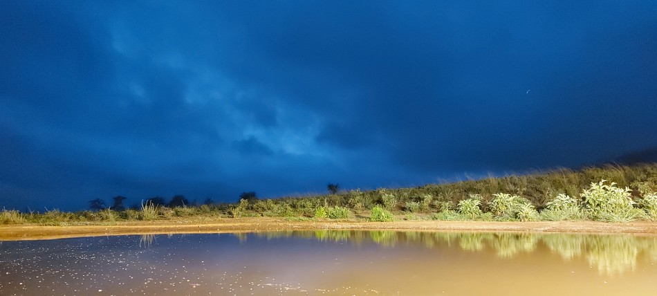 Soroi Lions Bluff, Foto Hide