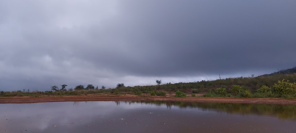 Soroi Lions Bluff, Foto Hide