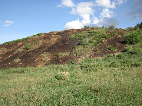 Lion Rock, Lumo Conservancy