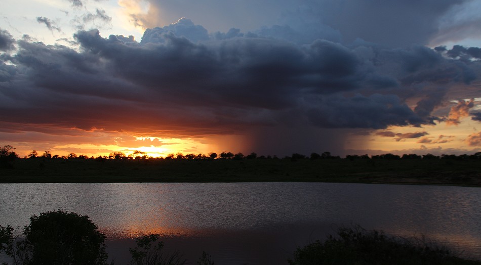 Sundowner in der Wildnis
