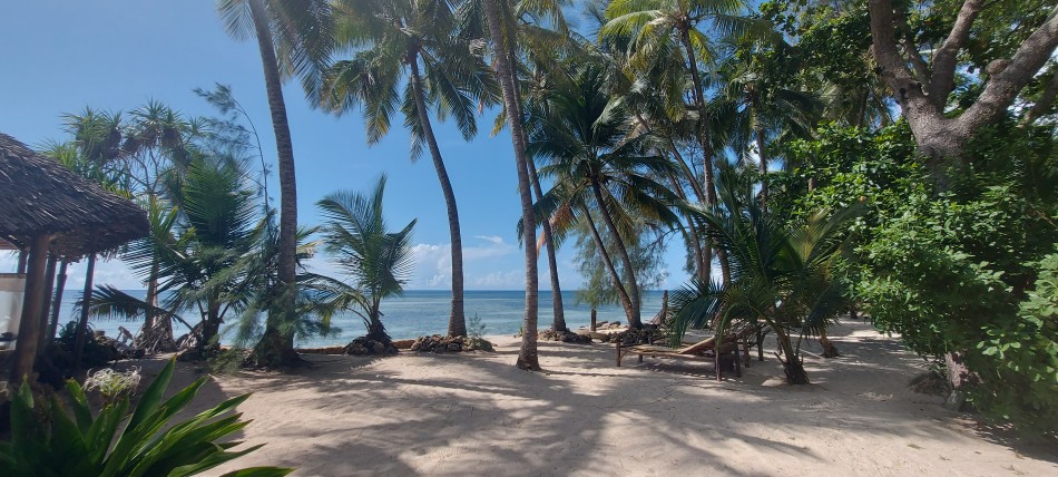 Mbuyu Beach Bungalows - Msambweni Beach / South Coast