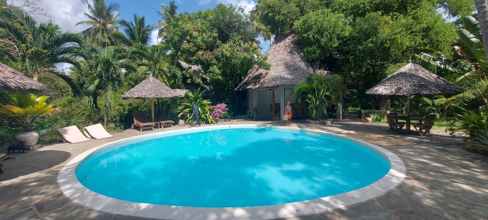 Mbuyu Beach Bungalows - Msambweni Beach / South Coast