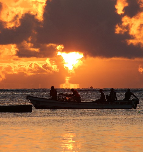Sonnenaufgang am Msambweni Beach, Mbuyu Beach Bungalows