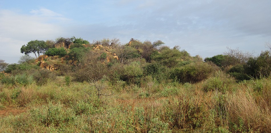 wilde Landschaft im Meru National Park