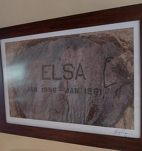 Elsas Kopje Lodge - Meru National Park
