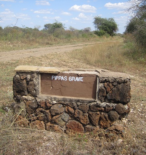 Pipas Grab / Gepardengrab