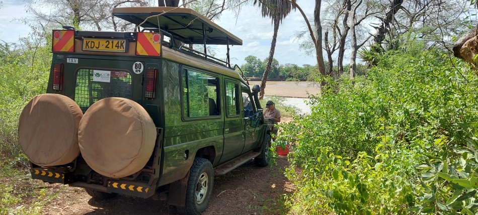 Essen am Tana River