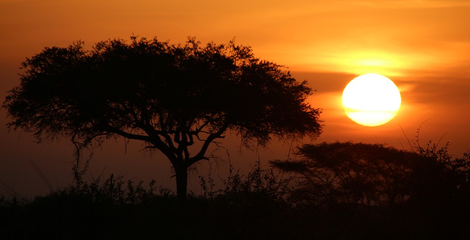 Sonnenuntergang im Meru National Park