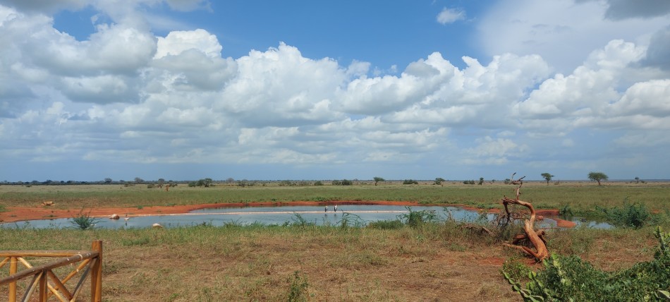 Ngutuni Lodge Wasserstelle, Anfang März 2024