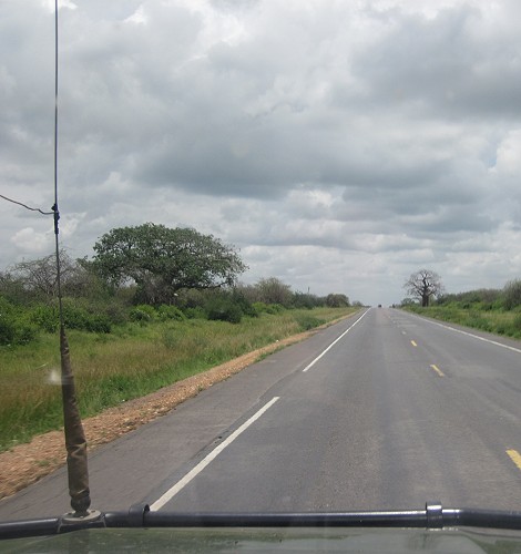rote Elefanten an der Hauptstraße Nairobi - Mombasa