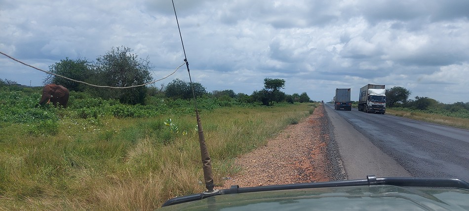 rote Elefanten an der Hauptstraße Nairobi - Mombasa
